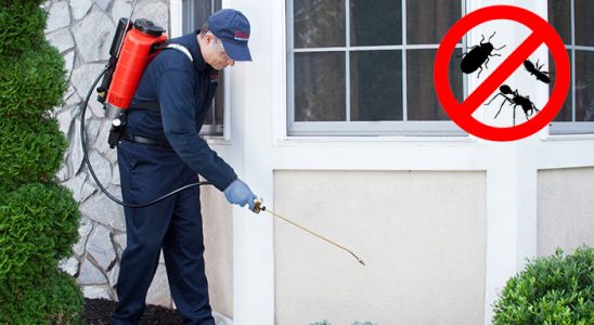Serik Gümüşkurt İlaçlama böcek ilaçlama ve haşere kontrolü — ilaclama-tr.com